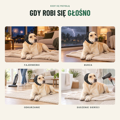 Nauszniki wyciszające dla psa