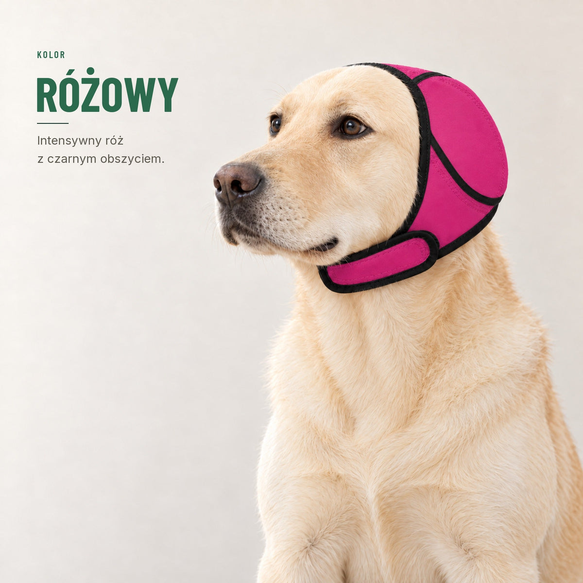 Nauszniki wyciszające dla psa