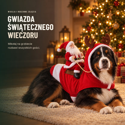 Świąteczne przebranie dla psa — Mikołaj na grzbiecie